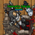 Novato Ninja