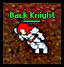 Back Knight'