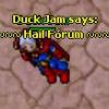 Duck Jam