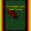 fox regger